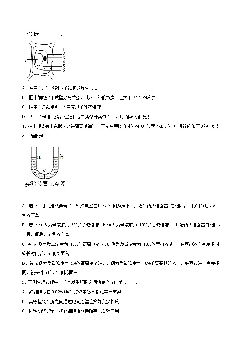 4.1  被动运输-2022-2023学年高一生物课后培优练（人教版2019必修1）（原卷版）第2页