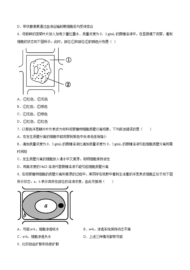 4.1  被动运输-2022-2023学年高一生物课后培优练（人教版2019必修1）（原卷版）第3页