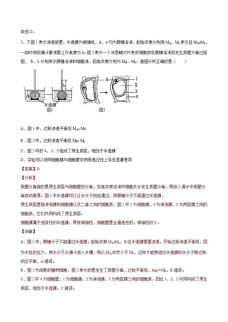 4.1  被动运输-2022-2023学年高一生物课后培优练（人教版2019必修1）（解析版）第2页