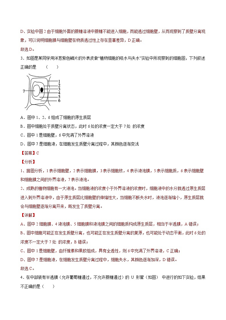 4.1  被动运输-2022-2023学年高一生物课后培优练（人教版2019必修1）（解析版）第3页