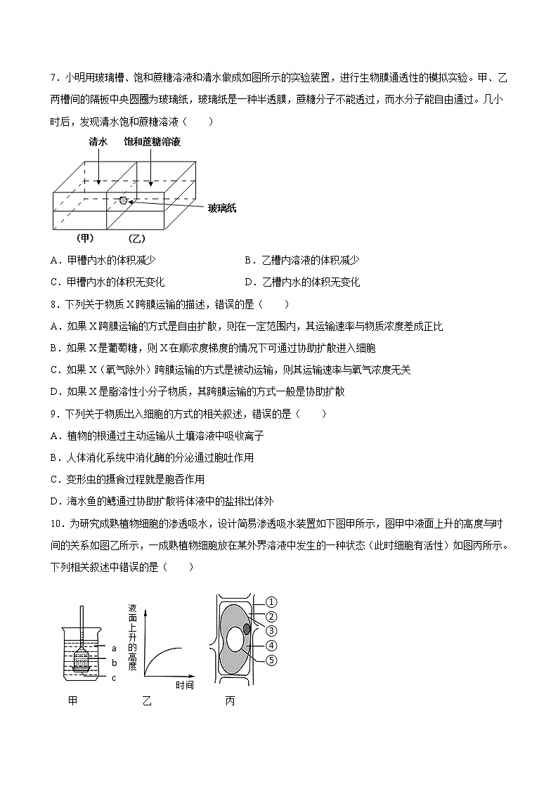 第四章  章末测试-高一生物课后培优练（人教版2019必修1）03