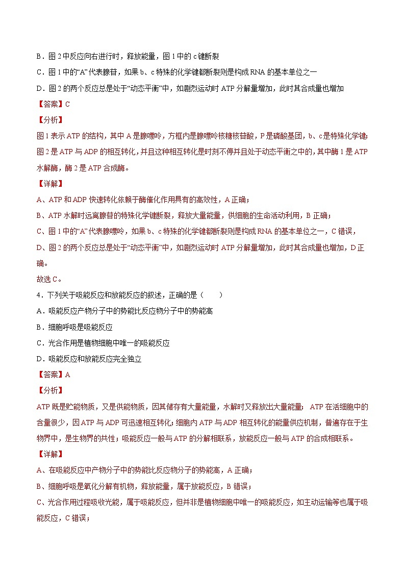 5.2  细胞的能量“货币”——ATP-2022-2023学年高一生物课后培优练（人教版2019必修1）（解析版）第2页