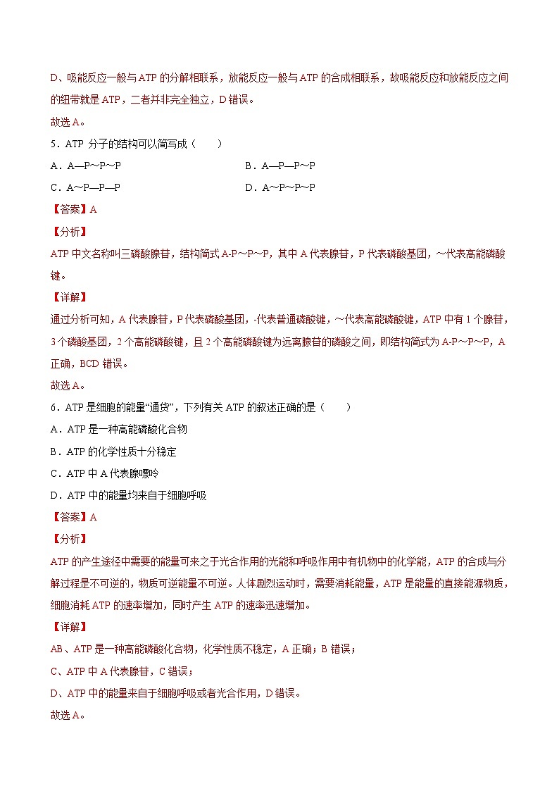 5.2  细胞的能量“货币”——ATP-2022-2023学年高一生物课后培优练（人教版2019必修1）（解析版）第3页