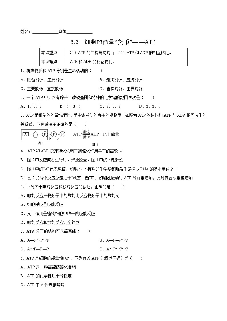5.2  细胞的能量“货币”——ATP-2022-2023学年高一生物课后培优练（人教版2019必修1）（原卷版）第1页