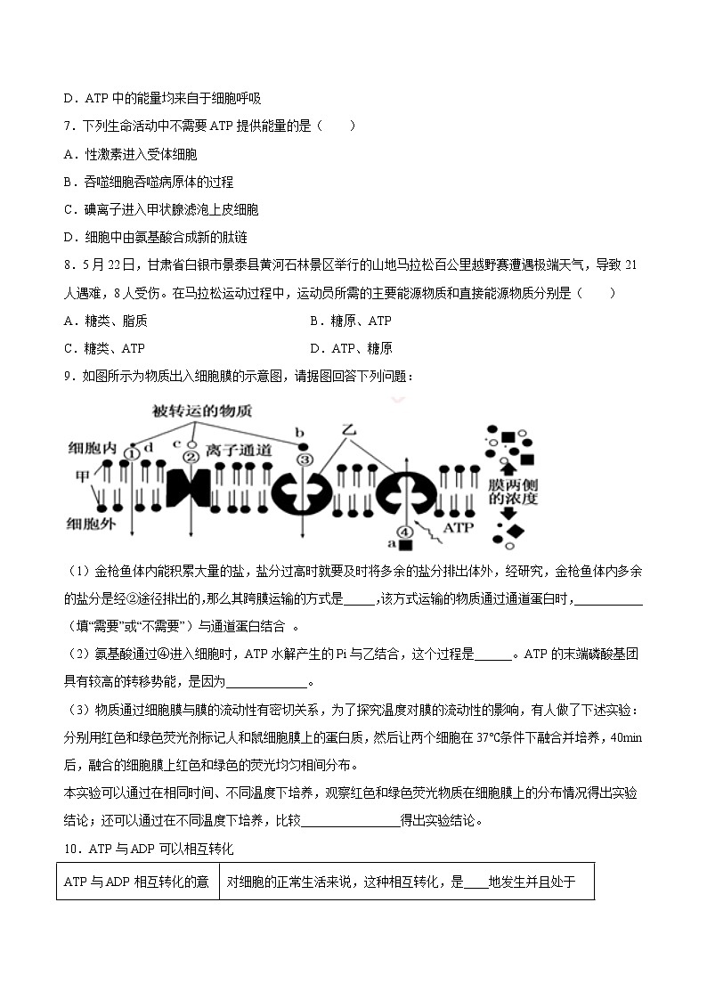 5.2  细胞的能量“货币”——ATP-2022-2023学年高一生物课后培优练（人教版2019必修1）（原卷版）第2页