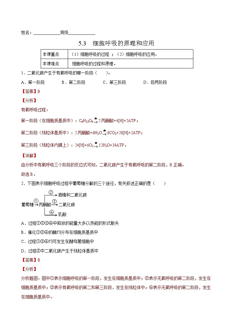5.3  细胞呼吸的原理和应用-高一生物课后培优练（人教版2019必修1）01