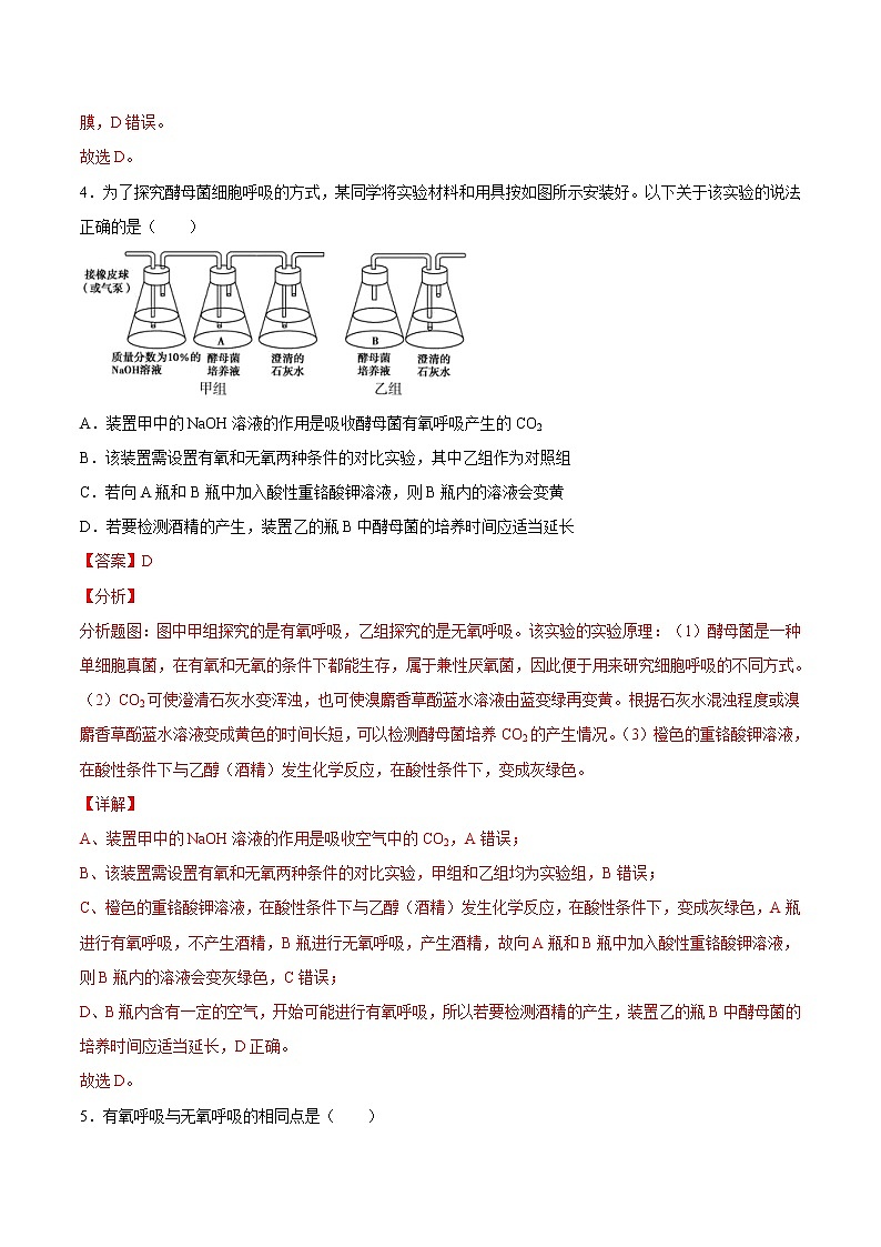 5.3  细胞呼吸的原理和应用-高一生物课后培优练（人教版2019必修1）03