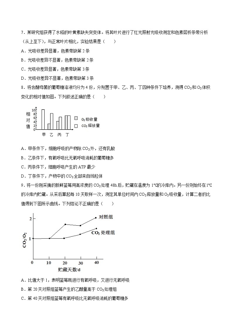 第五章  章末测试-高一生物课后培优练（人教版2019必修1）02