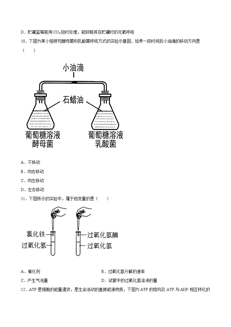 第五章  章末测试-高一生物课后培优练（人教版2019必修1）03