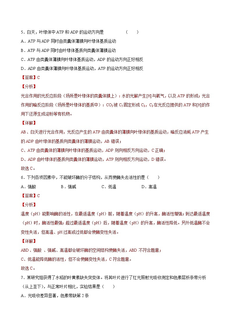 第五章  章末测试-高一生物课后培优练（人教版2019必修1）03