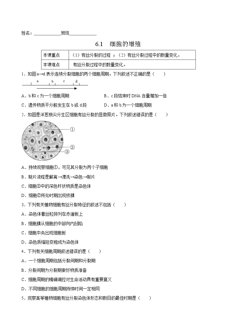 6.1  细胞的增殖-高一生物课后培优练（人教版2019必修1）01