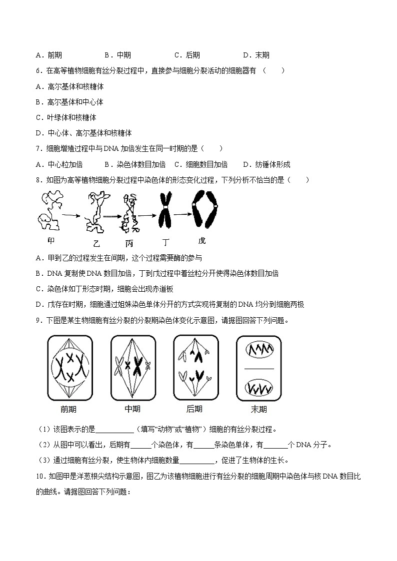 6.1  细胞的增殖-高一生物课后培优练（人教版2019必修1）02