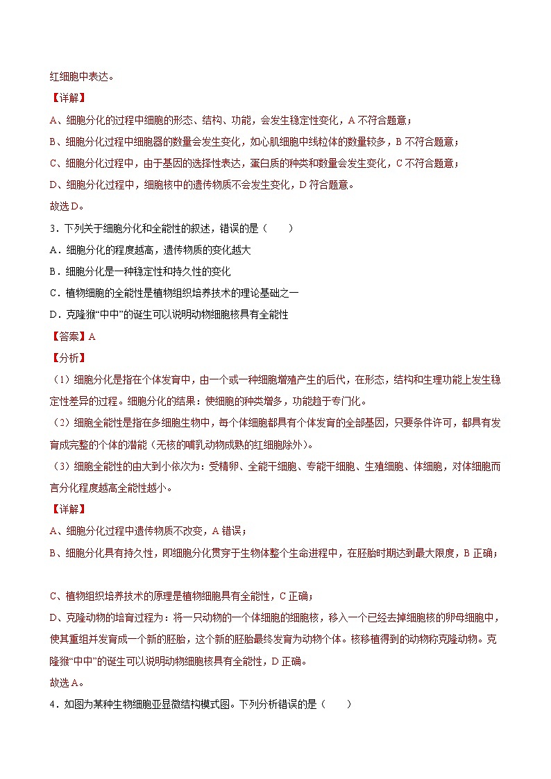 6.2  细胞的分化-高一生物课后培优练（人教版2019必修1）02