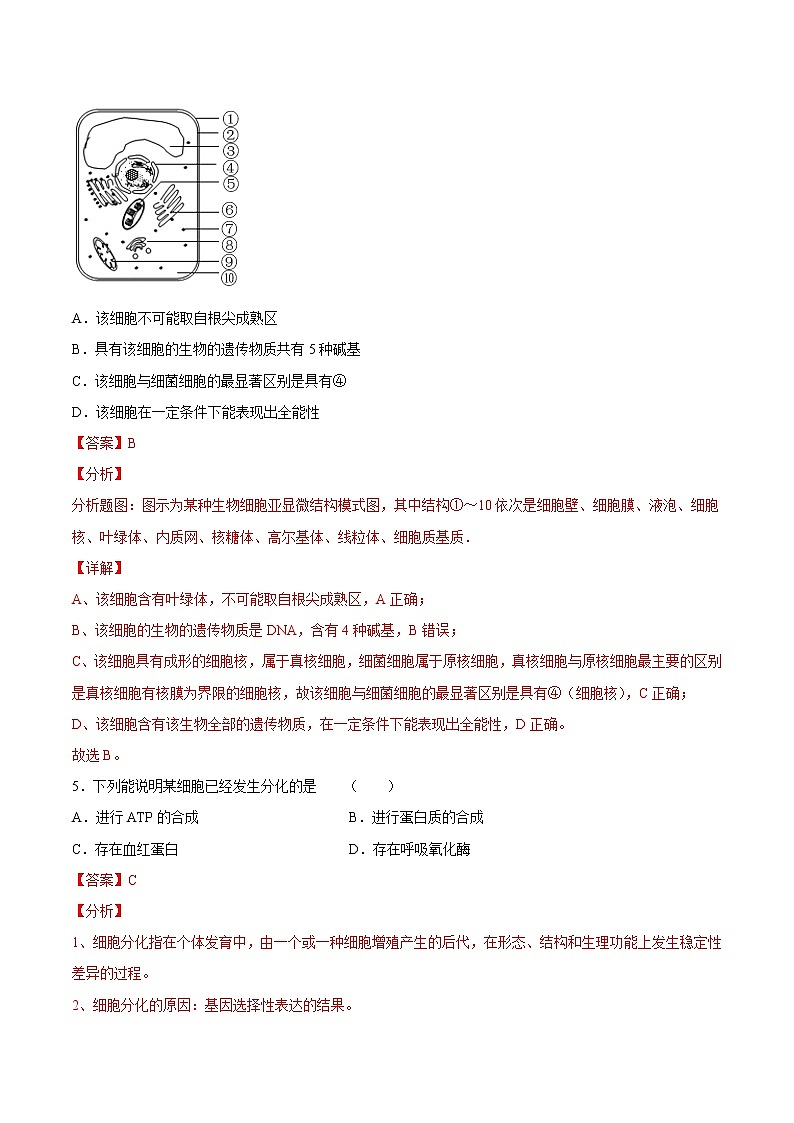 6.2  细胞的分化-高一生物课后培优练（人教版2019必修1）03