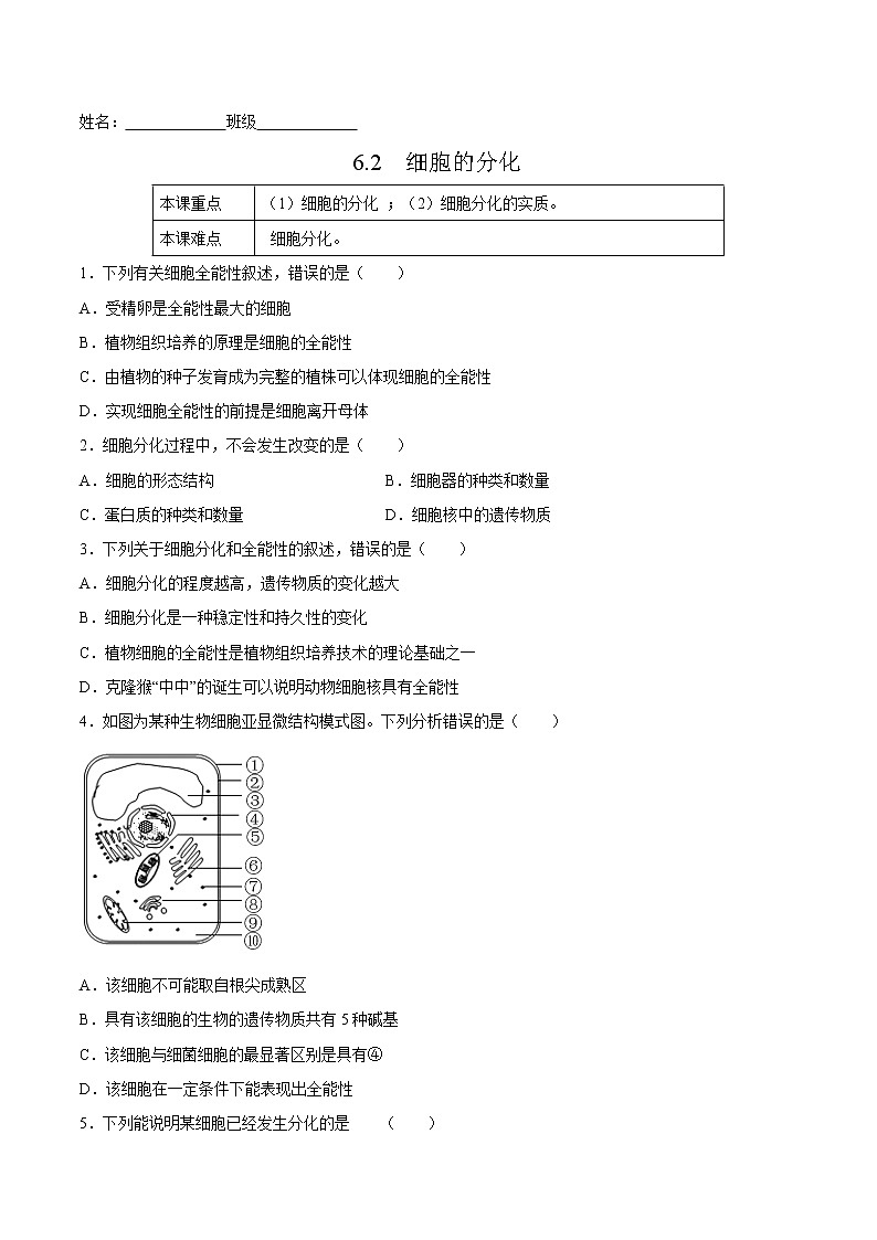 6.2  细胞的分化-高一生物课后培优练（人教版2019必修1）01