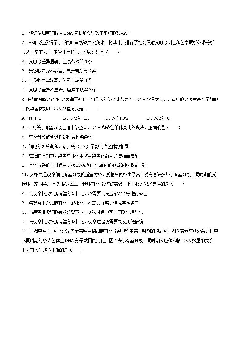 第六章  章末测试-高一生物课后培优练（人教版2019必修1）03