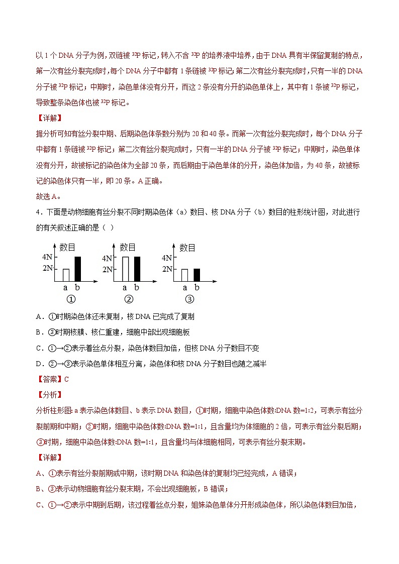 第六章  章末测试-高一生物课后培优练（人教版2019必修1）03