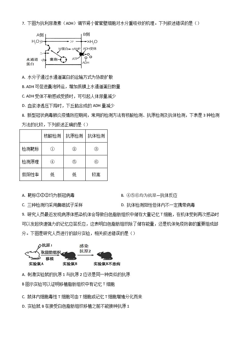 2023山东省“学情空间”区域教研共同体高三上学期入学考试生物试题含答案03