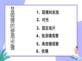 2022-2023学年高一上学期生物人教版必修1-1.2细胞的多样性和统一性课件（共3份）