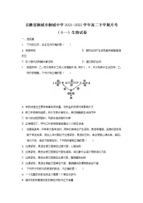 2021-2022学年安徽省桐城市桐城中学高二下学期月考（十一）生物试题含答案