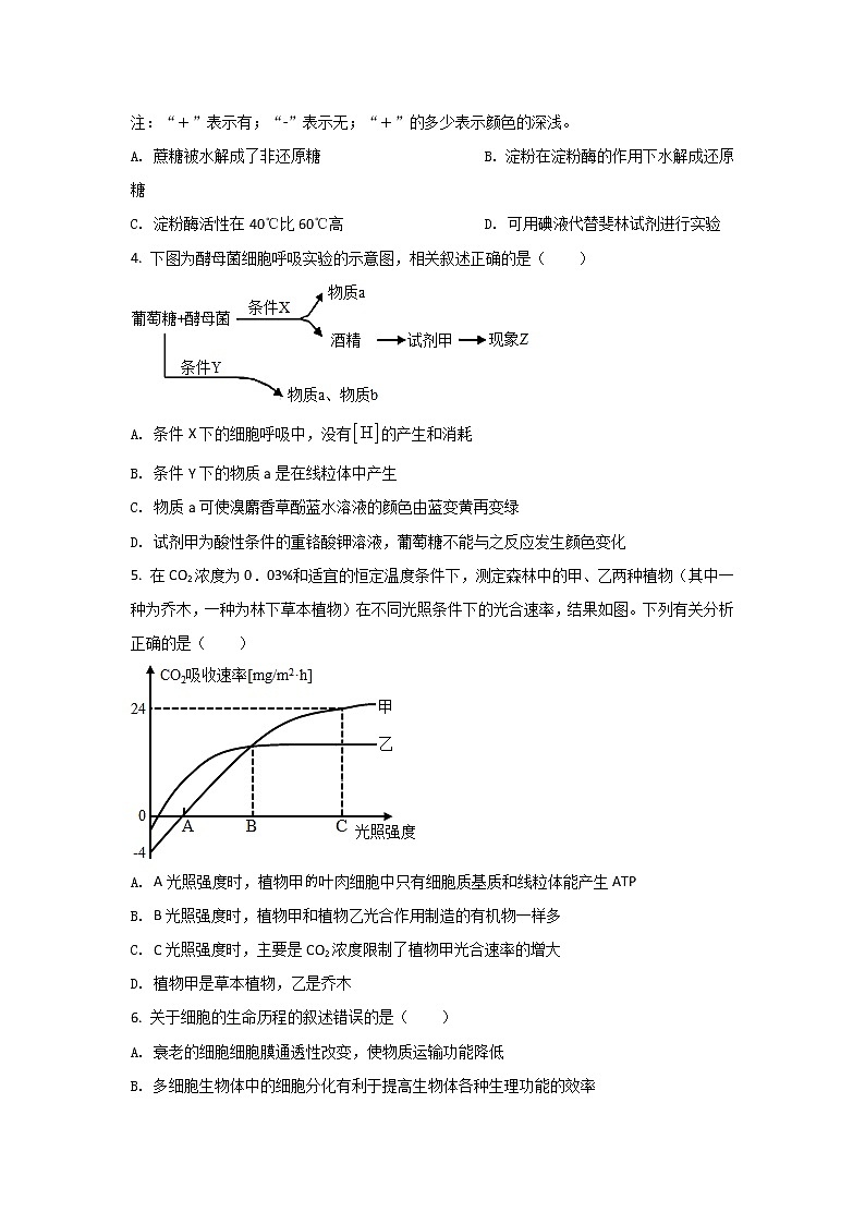 2021-2022学年河南省驻马店市高一下学期期末考试生物试卷含解析02