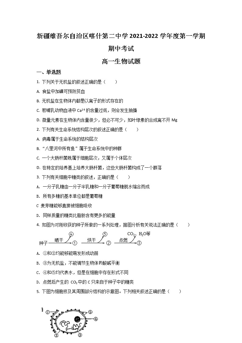 2021-2022学年新疆维吾尔自治区喀什第二中学高一上学期期中考试生物试卷含解析01