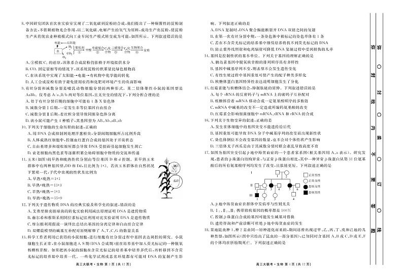 新高三摸底联考生物正文第2页