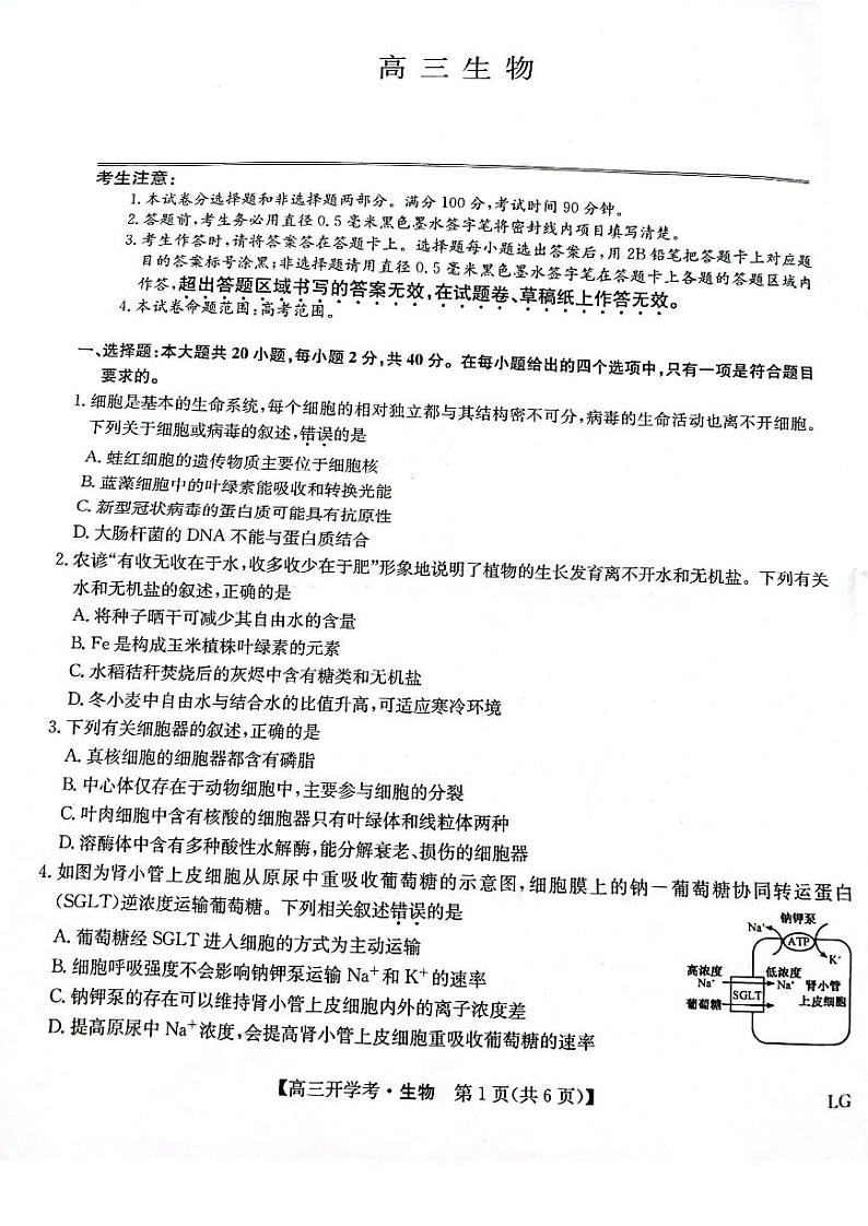 2023届高三九师联盟9月联考（老高考） 生物试题及答案01