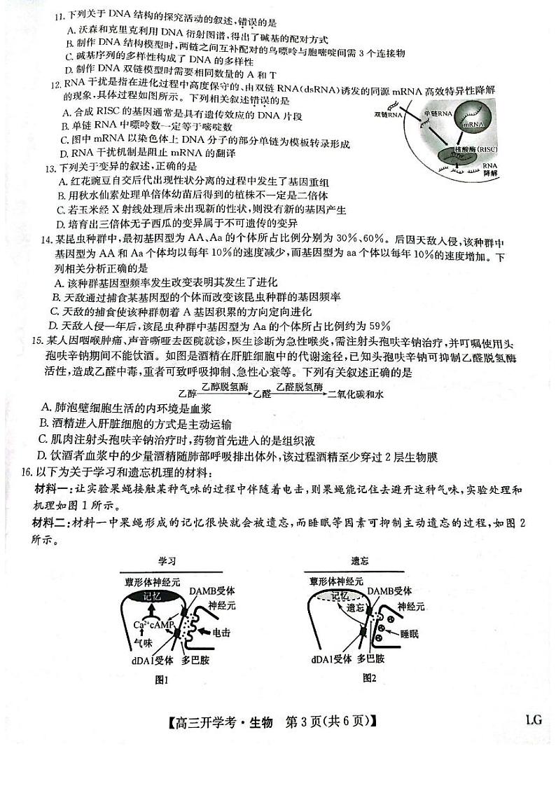 2023届高三九师联盟9月联考（老高考） 生物试题及答案03