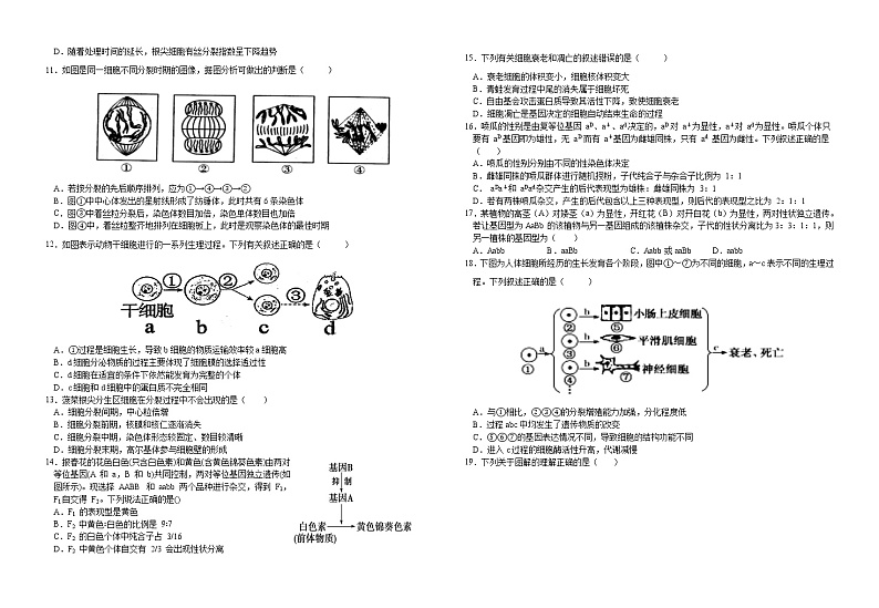 江西省金溪县第一中学2021-2022学年高一下学期第一次月考生物试卷 （Word版含答案）第2页
