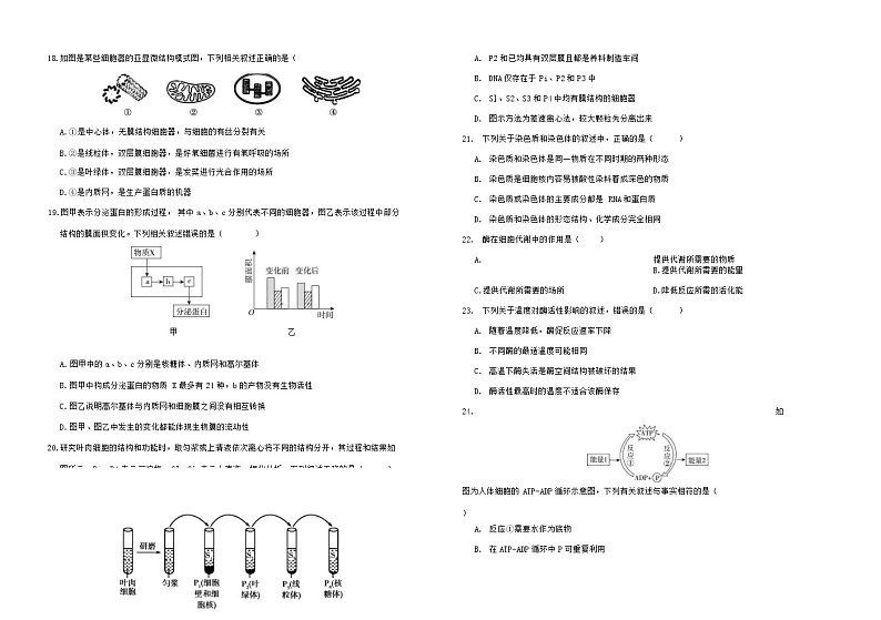河北省石家庄市元氏县第四中学2022学年-2023学年高一上学期入学摸底考试生物（A）试卷（Word版含答案）第3页