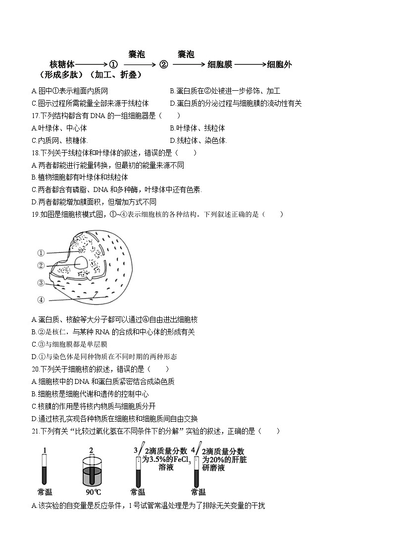 河北省石家庄市元氏县四中2022-2023学年高一上学期入学摸底考试生物（B）试题（Word版含答案）第3页