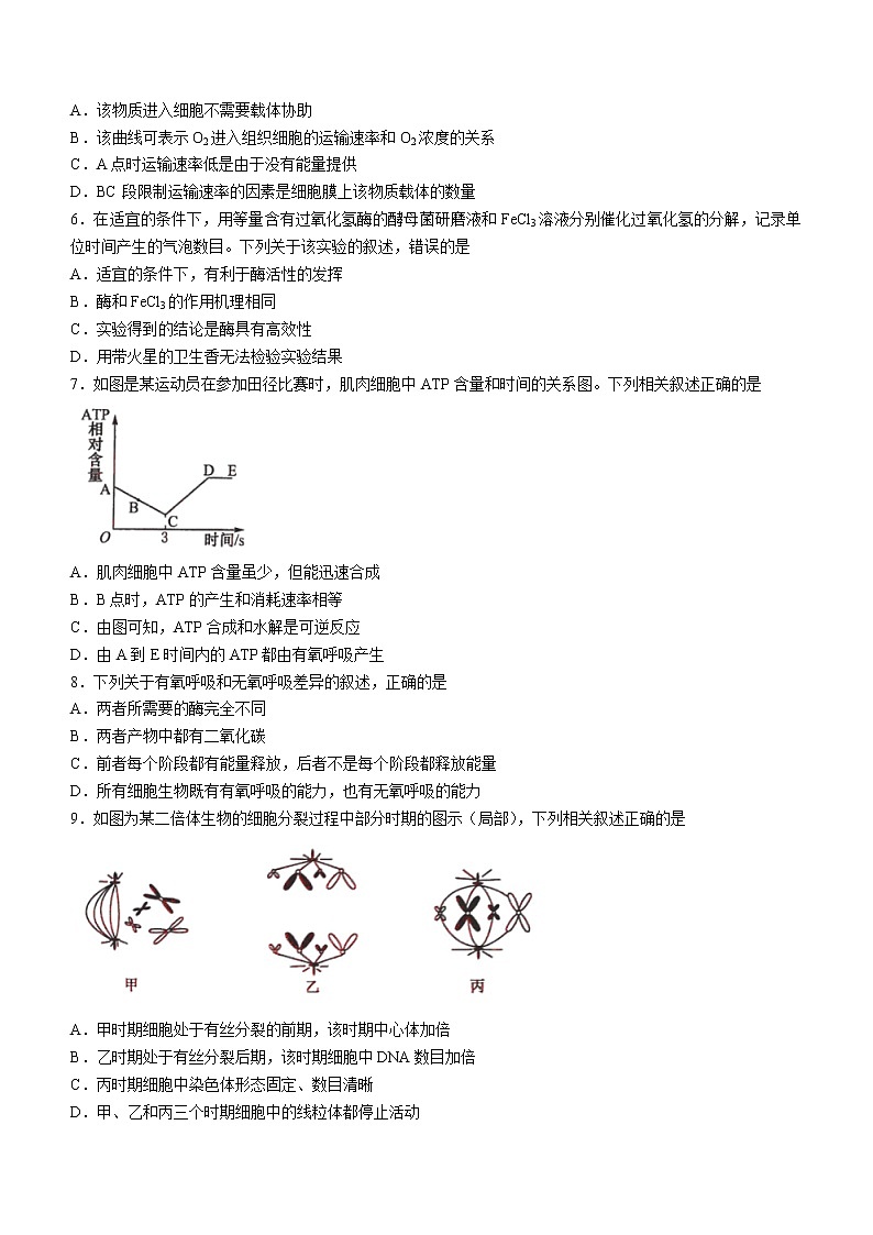 河南省名校联盟2022-2023学年高二上学期开学考试生物试题（Word版含答案）第2页