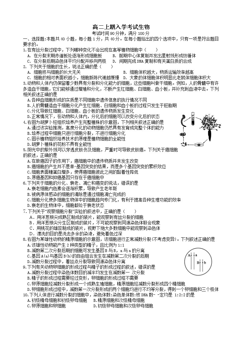 四川省绵阳市三台县第一中学2022-2023学年高二上学期入学考试生物试题（Word版含答案）01