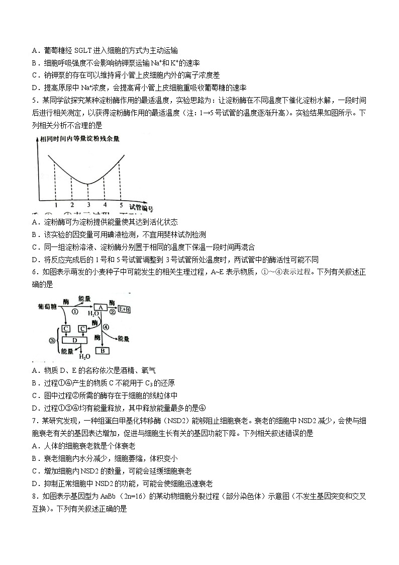 河南省开封市杞县高中2022—2023学年高三上学期开学考试生物试题（Word版含答案）02