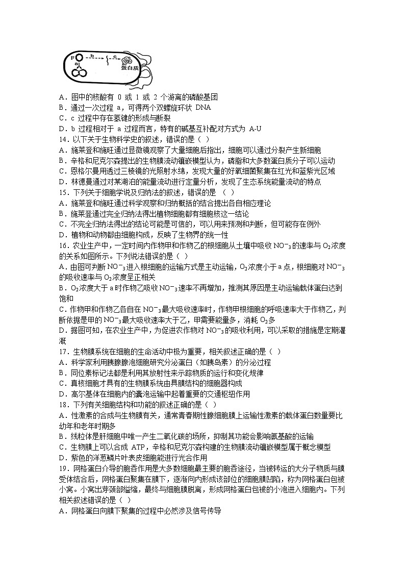 黑龙江省鹤岗市第一中学2022-2023学年高三上学期开学考试生物试题（Word版含答案）第3页