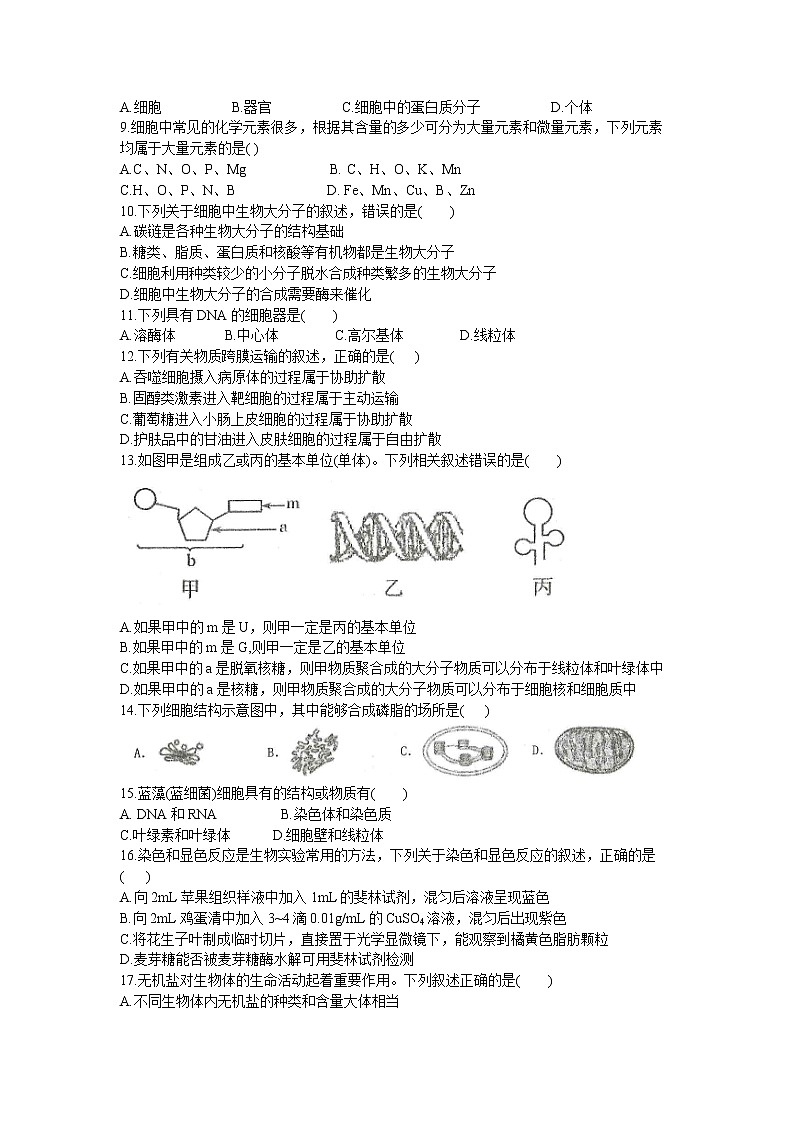 黑龙江省龙西北八校联合体2022-2023学年高三上学期开学考试生物试题（Word版含答案）第2页