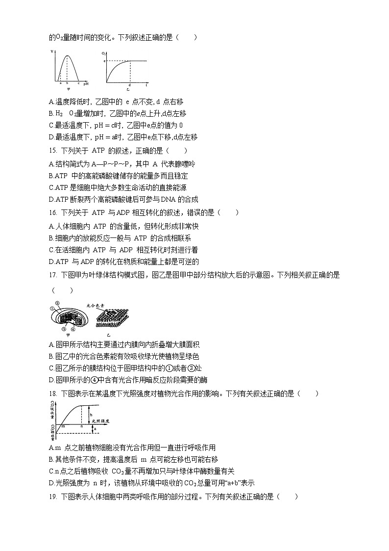 四川省德阳市第三中学2022-2023学年高三上学期第一次综合考试（开学考试）生物试题（Word版含答案）03