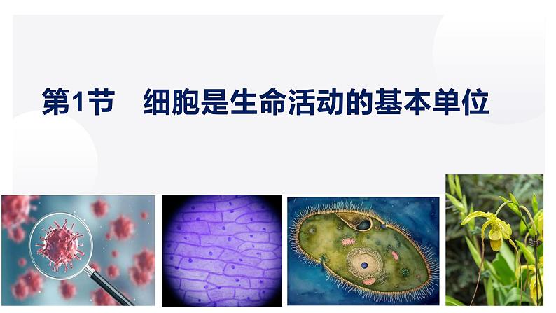 1.1 细胞是生命活动的基本单位-2022-2023学年高一生物同步备课优质课件（人教版2019必修1）03