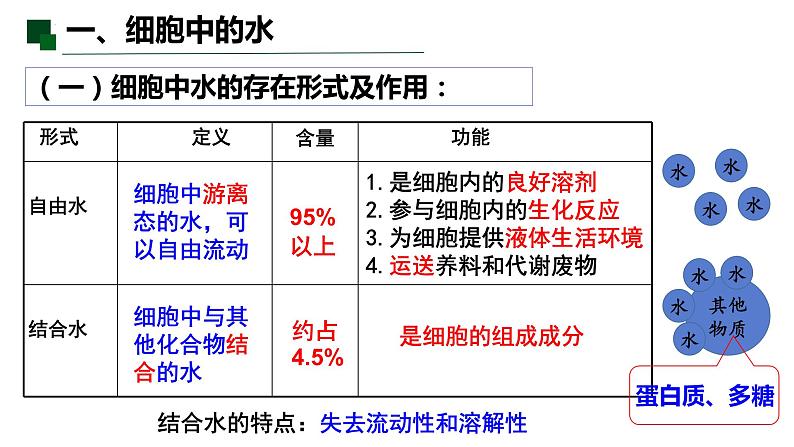 2.2 细胞中的无机物-2022-2023学年高一生物同步备课优质课件（人教版2019必修1）06