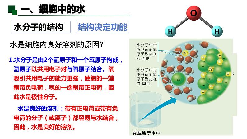 2.2 细胞中的无机物-2022-2023学年高一生物同步备课优质课件（人教版2019必修1）08