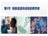2.5 核酸是遗传信息的携带者-2022-2023学年高一生物同步备课优质课件（人教版2019必修1）