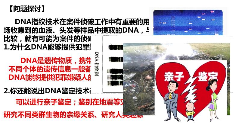 2.5 核酸是遗传信息的携带者-2022-2023学年高一生物同步备课优质课件（人教版2019必修1）第2页