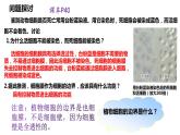 3.1 细胞膜的结构和功能-2022-2023学年高一生物同步备课优质课件（人教版2019必修1）