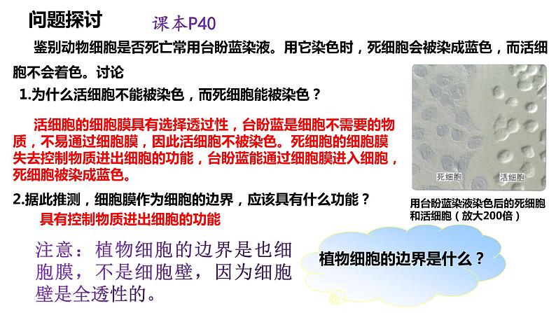 3.1 细胞膜的结构和功能-2022-2023学年高一生物同步备课优质课件（人教版2019必修1）04