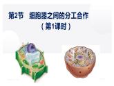 3.2 细胞器之间的分工合作（第一课时）-2022-2023学年高一生物同步备课优质课件（人教版2019必修1）