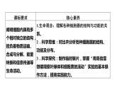 3.2 细胞器之间的分工合作（第一课时）-2022-2023学年高一生物同步备课优质课件（人教版2019必修1）