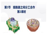 3.2 细胞器之间的分工合作（第二课时）-2022-2023学年高一生物同步备课优质课件（人教版2019必修1）