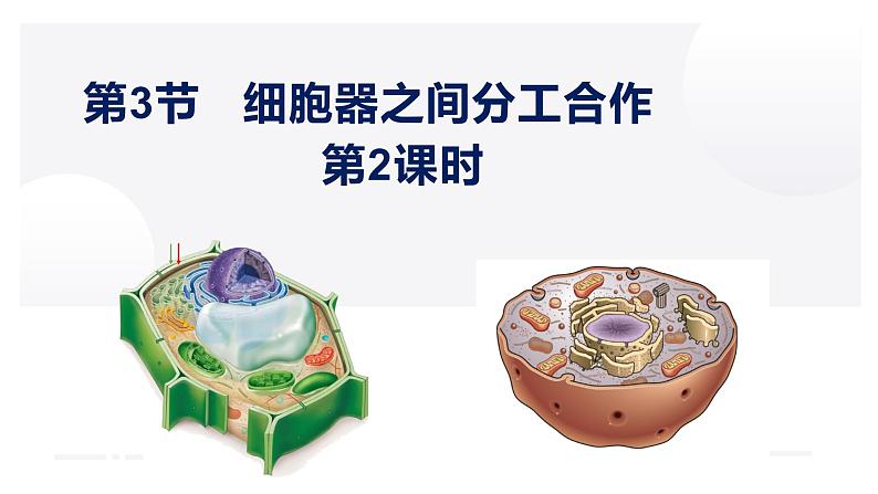 3.2 细胞器之间的分工合作（第二课时）-2022-2023学年高一生物同步备课优质课件（人教版2019必修1）01