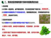 3.2 细胞器之间的分工合作（第二课时）-2022-2023学年高一生物同步备课优质课件（人教版2019必修1）